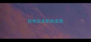 拉布拉多趴的姿势