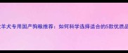 边境牧羊犬专用国产狗粮推荐如何科学选择适合的5款优质品牌