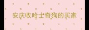 安庆收哈士奇狗的买家