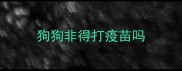 狗狗非得打疫苗吗