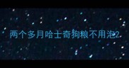 两个多月哈士奇狗粮不用泡