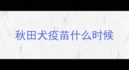 秋田犬疫苗什么时候