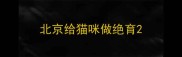 北京给猫咪做绝育