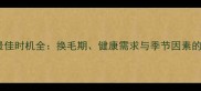 金毛剃毛最佳时机全换毛期健康需求与季节因素的科学指南