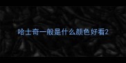 哈士奇一般是什么颜色好看