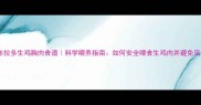 拉布拉多生鸡胸肉食谱科学喂养指南如何安全喂食生鸡肉并避免风险