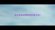 哈尔滨有宠物领养的地方吗