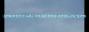边牧脚掌受伤怎么办专业兽医教你家庭护理与预防全攻略