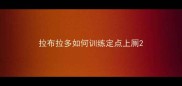 拉布拉多如何训练定点上厕