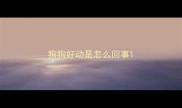 狗狗好动是怎么回事