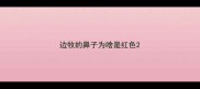 边牧的鼻子为啥是红色