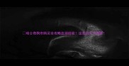 哈士奇狗市购买全攻略血泪经验这些坑千万别踩