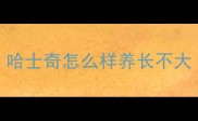 哈士奇怎么样养长不大