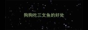 狗狗吃三文鱼的好处