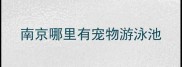 南京哪里有宠物游泳池