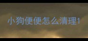 小狗便便怎么清理