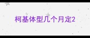 柯基体型几个月定