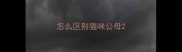 怎么区别猫咪公母