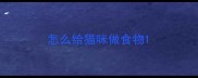 怎么给猫咪做食物