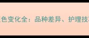 狗狗换毛期颜色变化全品种差异护理技巧与常见误区