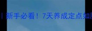 教小狗上厕所全攻略新手必看7天养成定点如厕习惯的零失败秘籍
