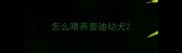 怎么喂养泰迪幼犬