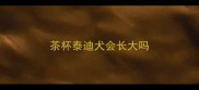 茶杯泰迪犬会长大吗