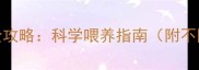 金毛犬幼犬喂养全攻略科学喂养指南附不同月龄营养方案