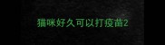 猫咪好久可以打疫苗