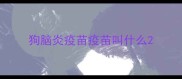 狗脑炎疫苗疫苗叫什么