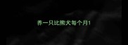 养一只比熊犬每个月