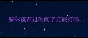 猫咪疫苗过时间了还能打吗