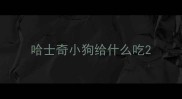 哈士奇小狗给什么吃
