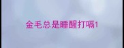 金毛总是睡醒打嗝