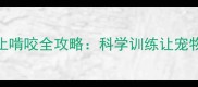 3-6月龄幼犬停止啃咬全攻略科学训练让宠物远离破坏行为