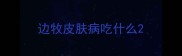边牧皮肤病吃什么