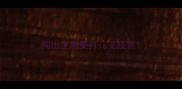 狗出生后要打几支疫苗