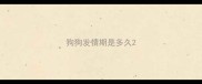 狗狗发情期是多久