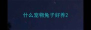 什么宠物兔子好养