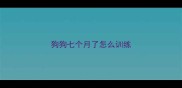 狗狗七个月了怎么训练