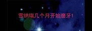 雪纳瑞几个月开始磨牙