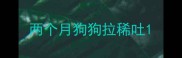 两个月狗狗拉稀吐