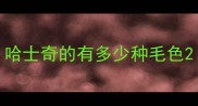哈士奇的有多少种毛色