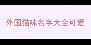 外国猫咪名字大全可爱