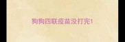 狗狗四联疫苗没打完