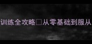 新手必看拉布拉多训练全攻略从零基础到服从性大师的90天养成计划