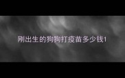 刚出生的狗狗打疫苗多少钱