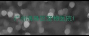 广州海珠区宠物医院