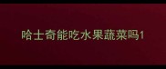 哈士奇能吃水果蔬菜吗