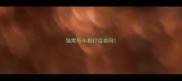 猫需每年都打疫苗吗